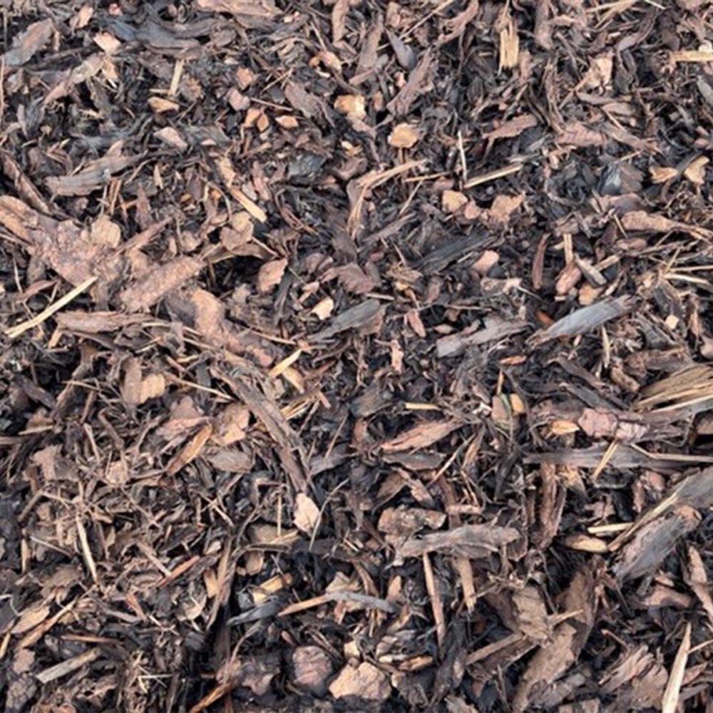 Ornamental Bark - Image 2