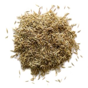 Emerald Grass Seed Bulk Bag 20kg